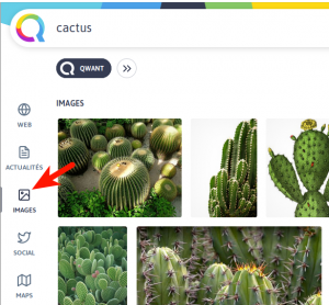 Recherche d'image sur Qwant