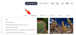 Recherche d'image sous licence creative commons dans Qwant